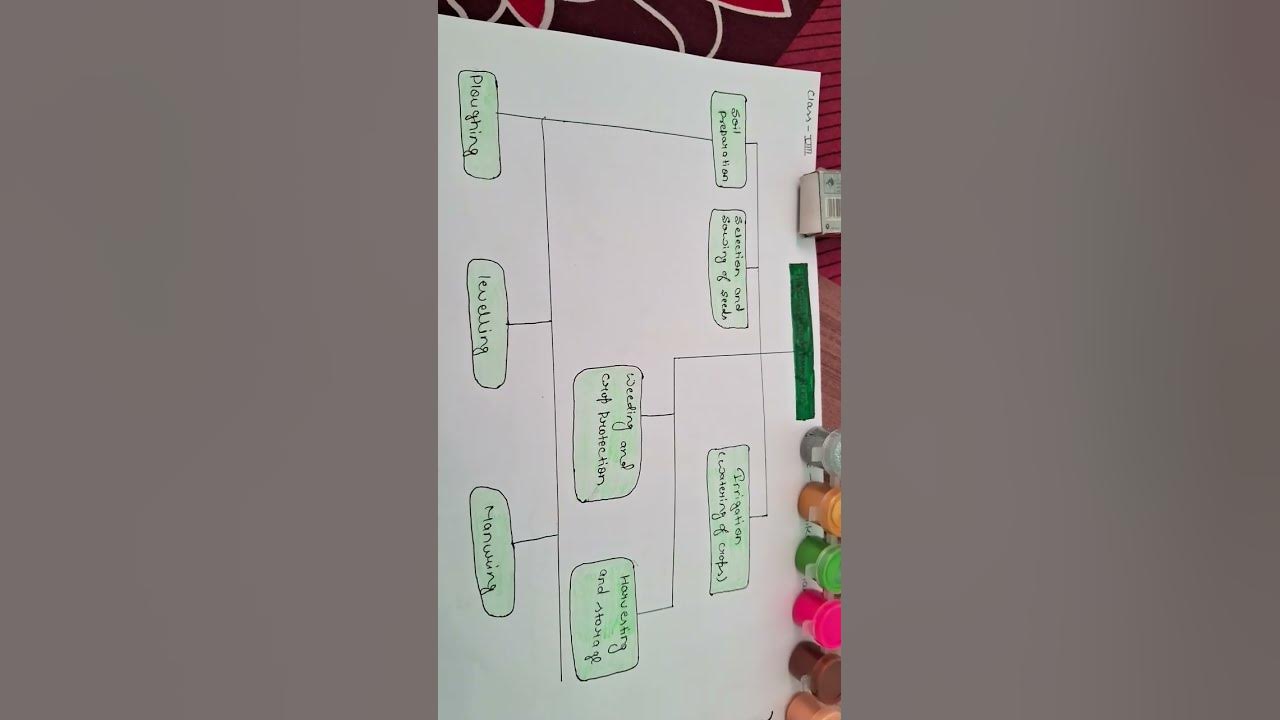 trendingshorts-agricultural-practices-class-8-science-youtube