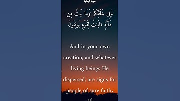 سورة الجاثية من الأية 1 الى 5 ياسر الدوسري