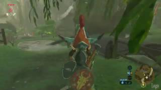 Zelda Breath Of The Wild Flown The Coop Guide