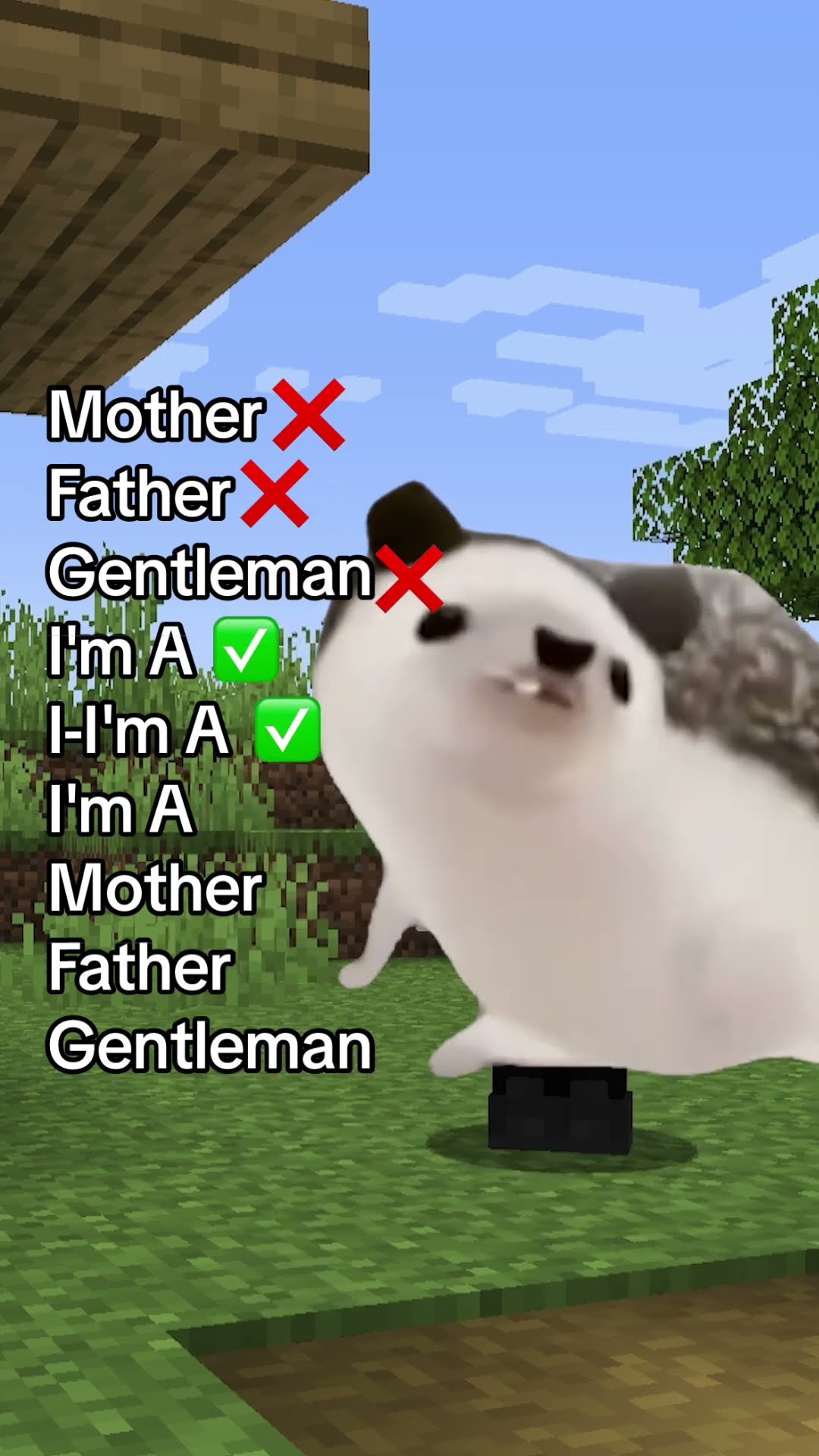 *NOUL* GENTLEMAN din MINECRAFT!