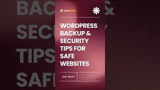 WordPress Backup & Security Tips for Safe Websites