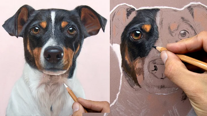 Drawing a Dog using Pastel Pencils - Jason Morgan ...