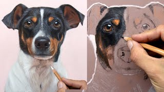 Pet portraits   Drawing a dog fur  StepByStep Pastel Pencil Tutorial
