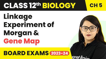 Class 12 Biology Ch 5| Linkage Experiment of Morgan & Gene Map-Principles of Inheritance & Variation
