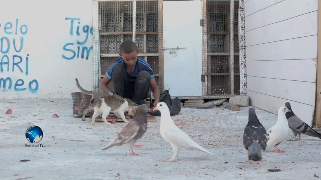 10-jirkii isku xilqaamay quudinta Shimbiraha & Bisadaha oo helay balanqaad farxad gelisay Noloshiisa