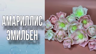 Амариллис Эмильен/Как сделать велюровые цветы/Заливка и тонировка/Мыловарение