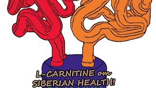 L CARNITINE от Сибирского здоровья! Купить L CARNITINE от Сибирского здоровья L CARNITINE от Сибирского здоровья! Купить L CARNITINE от Сибирского здоровья