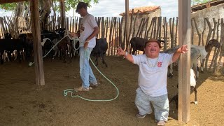 PILILIU SURPREENDE O VAQUEIRO LAÇANDO CARNEIROS NA FAZENDA