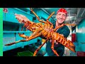 French Chef Prepares RARE Red Spiny LOBSTER 5 Ways!!