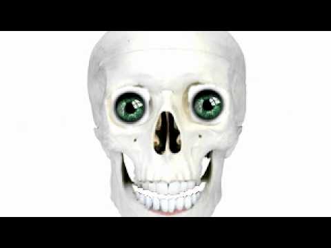 school puppy 2 camera iphone 8 plus apk