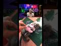 cats moment kucing galak🤣😂🔥 #funny #cat #trendingshorts