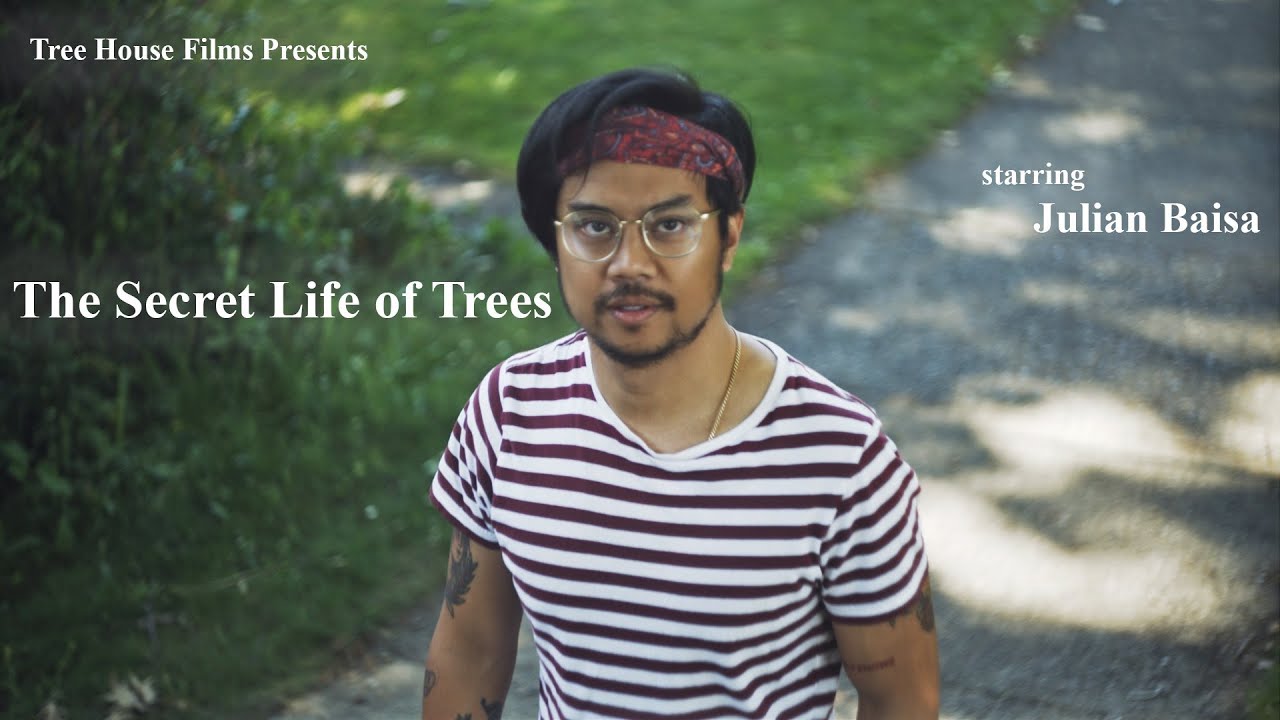 The Secret Life of Trees | Official Trailer HD | Tree House Films