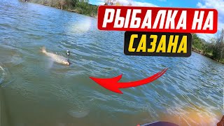 Удочка в дугу и визг фрикциона - это САЗАН. Рыбалка на сазана.