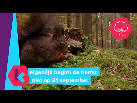 Video: Wanneer De Herfstoproep Begint