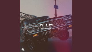 WTM (feat. vtizzel, Mellay & Kantraban Kartel) - Digital Analog