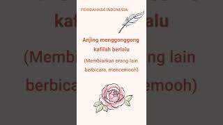 proverb dog barks caravan passes #proverb #indonesian proverb