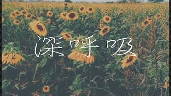 ハナレグミ Youtube