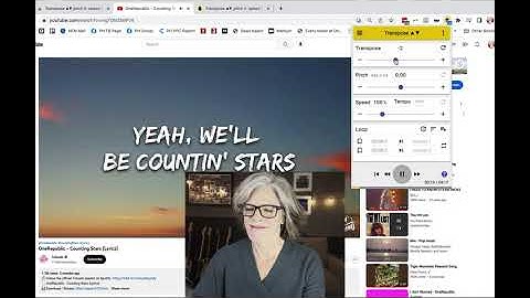 How to Install the Chrome Transpose Extension