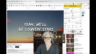 How to Install the Chrome Transpose Extension screenshot 2
