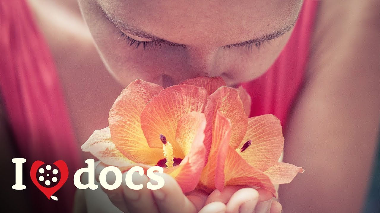 Documentary backdrop image for What Do Pharamones Do To Us? - The Language Of Fragrances - Science Documentary (2022)