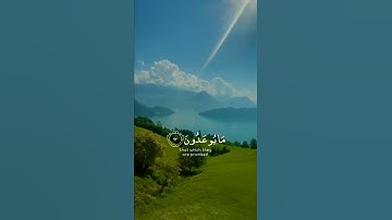 تلاوة هادئة تريح الاعصاب 😴🎧 القاريء رعد الكردي/ سورة المؤمنون♥️🌼
