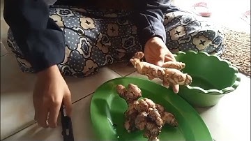 Sosialisasi &  Pelatihan Pembuatan Sirup Jahe Kepada Ibu-Ibu PKK & Penggerak UMKM Ds. Karnggayam