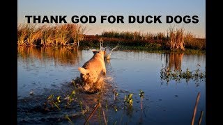 DUMB Duck Hunter Forgets His Waders...ya it was me