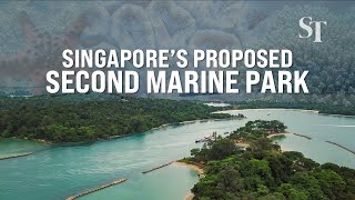 Plans For Singapores Second Marine Park In Lazarus South Kusu Reef
