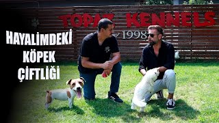 HAYALLERİMDEKİ KÖPEK ÇİFTLİĞİ | TÜRKİYE’DEKİ EN İYİLERDEN TOPAZ KENNEL !