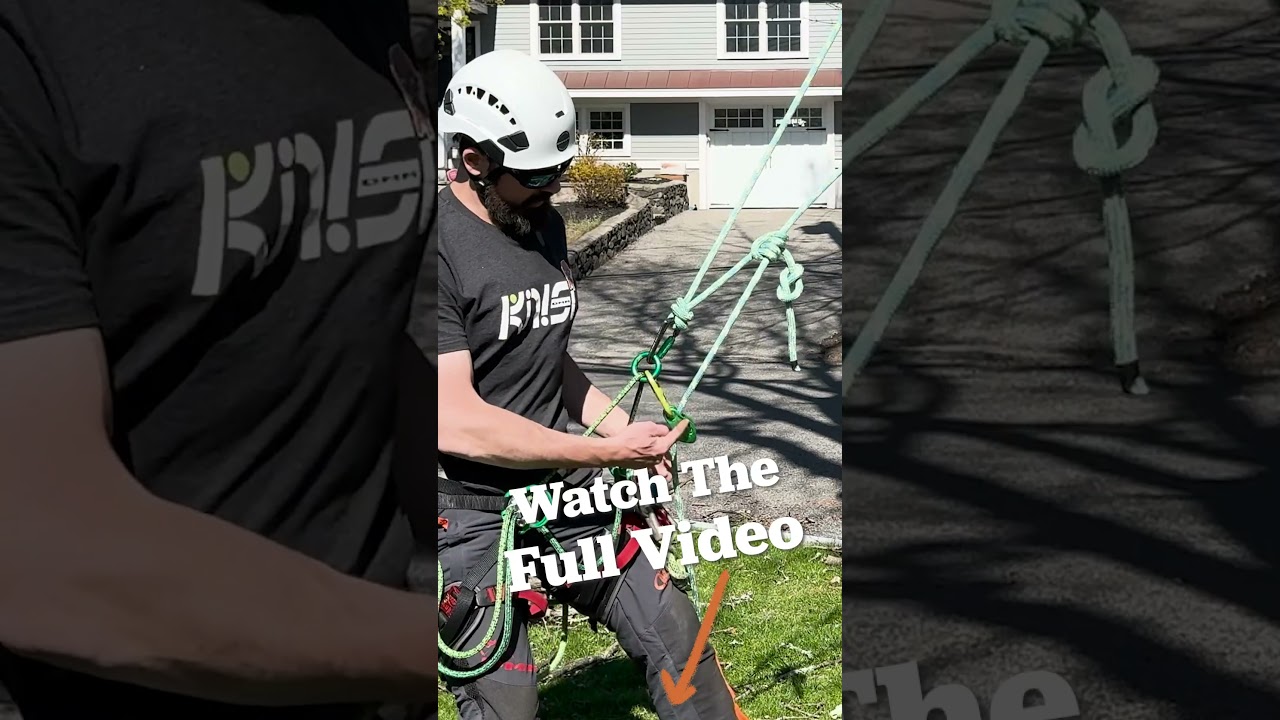 6 способов залезть на дерево — ПРОДЕМОНСТРИРОВАНО