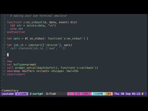 Vimscript Tutorial: Making Terminal Emulator ( part 1 )