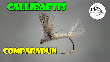 Callibaetis Comparadun by Curtis Fry