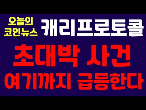 캐리프로토콜 초대박 사건 여기까지 급등한다 