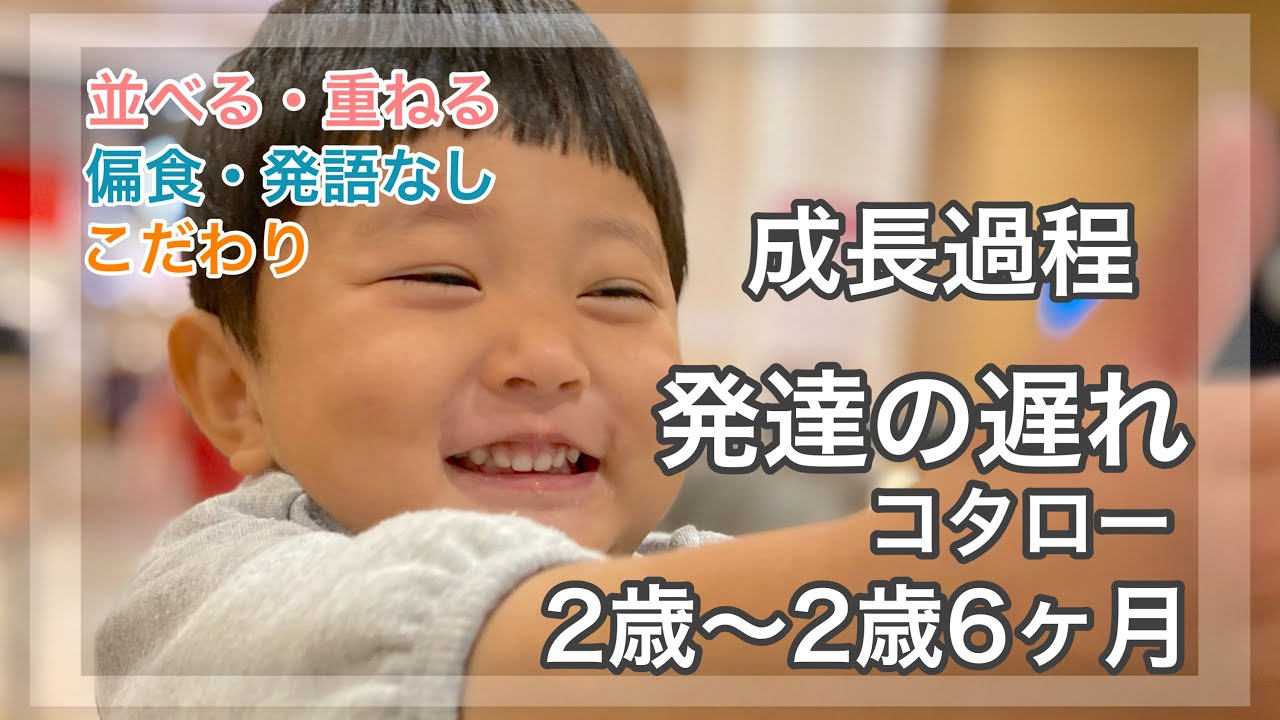 【発達の遅れ】２歳〜２歳６ヶ月/成長過程/【発達支援センターに通い始めるまで】【こだわり・偏食・発語・特徴】