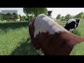 #FarmingSimulator19 |Farming Simulator 19| Cooperativo Los Coleguitas|La siembra!