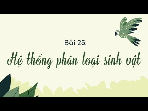 Video: Các đơn vị phân loại khác nhau là gì?