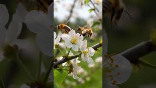 5 filmoj de Karl Turner