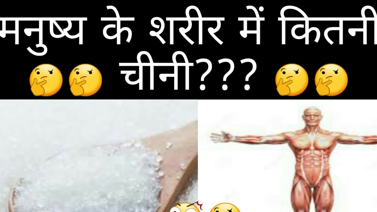Human body me kitni sugar hoti hai मनुष्य के शरीर मे कितनी चीनी होती