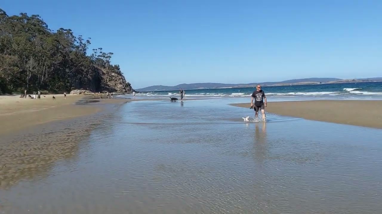 Walking along the Dog Beach side of Kingston Beach (Hobart, Tasmania)