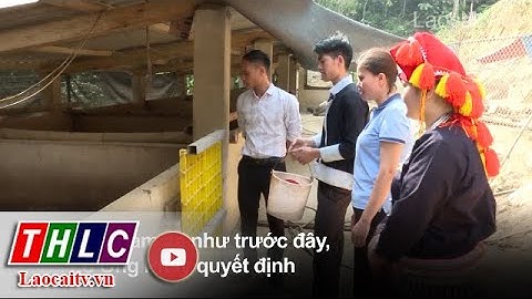Đẩy mạnh phong trào lập thân, lập nghiệp trong thanh niên dân tộc thiểu số | THLC