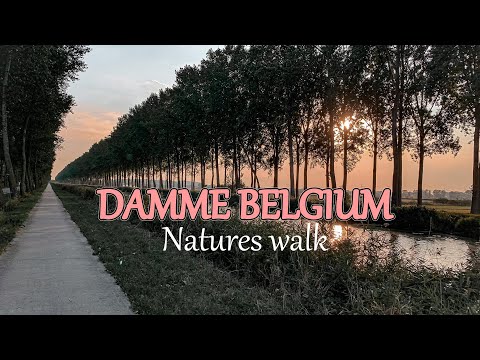 Video: Damme Belgian vierailijaopas