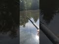 Pov: fishing for pike #fishing