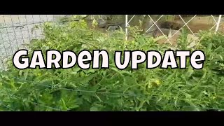 Garden Puppy & Life Update