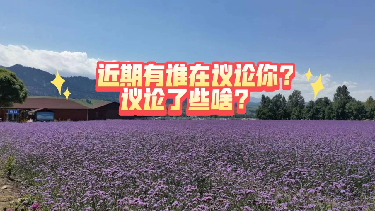 近期有谁在议论你？议论了些啥？(不限时空 不限关系)
