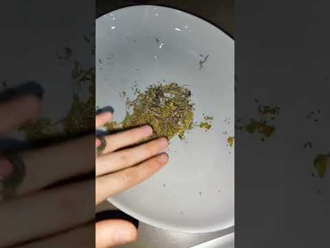 وصفة فعالة لعلاج مشاكل الجيوب الانفية والزكام وتعقيم الشعب الهوائية