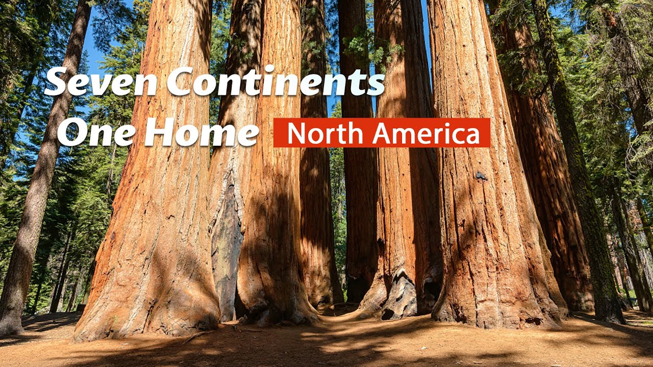 Seven Continents, One Home: Sequoia National Park in U.S.