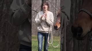 is your horse ready for trail riding? #horse #equestrian #horsegirl