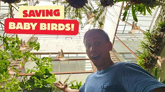 Update on My Giant Home Aviary 🐦 | Vlog #1843 [4K]