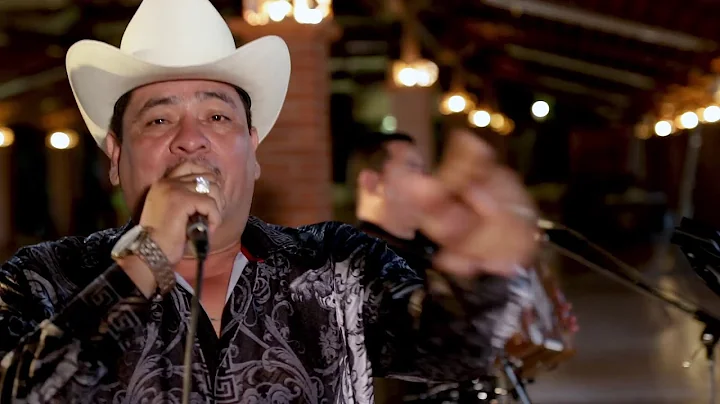 EL TIGRILLO PALMA -     FLOR DE DALIA
