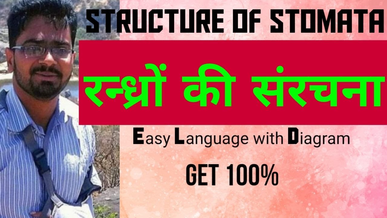 Structure of Stomata in Hindi | Stomatal Pore, Guard Cells, Subsidiary